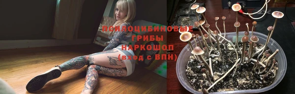 PSILOCYBIN Алексин
