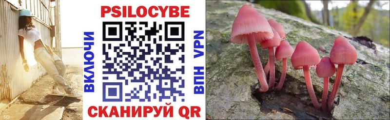 Галлюциногенные грибы Psilocybe  Магадан 